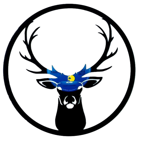 Vinyl Record Art - Deer Head